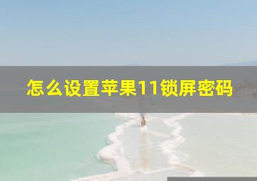 怎么设置苹果11锁屏密码