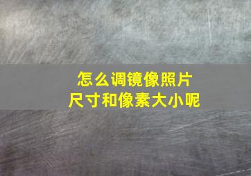 怎么调镜像照片尺寸和像素大小呢