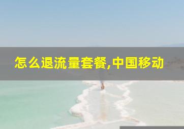 怎么退流量套餐,中国移动