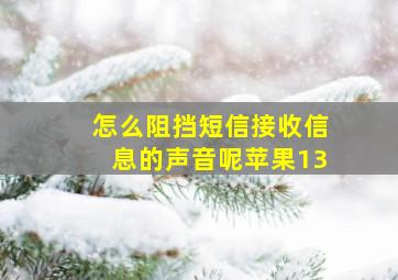 怎么阻挡短信接收信息的声音呢苹果13