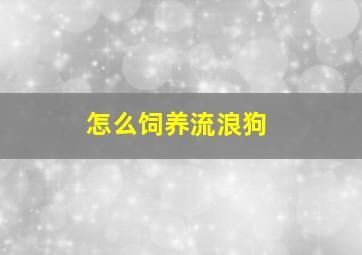 怎么饲养流浪狗