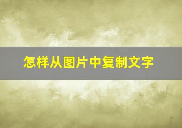 怎样从图片中复制文字