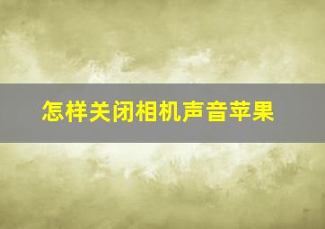 怎样关闭相机声音苹果