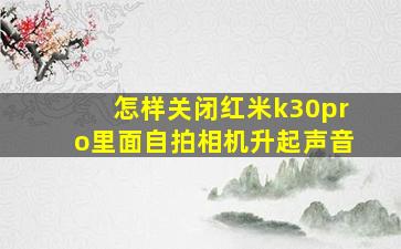 怎样关闭红米k30pro里面自拍相机升起声音