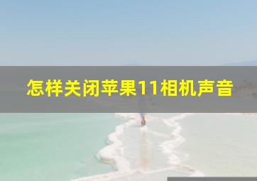 怎样关闭苹果11相机声音