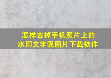 怎样去掉手机照片上的水印文字呢图片下载软件