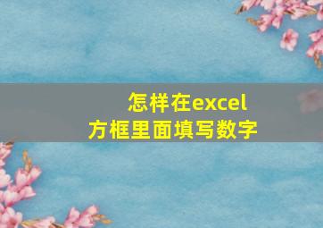 怎样在excel方框里面填写数字