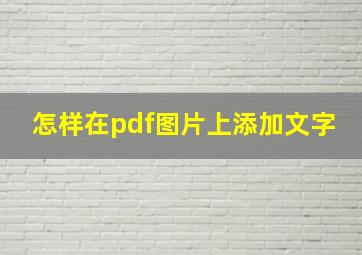 怎样在pdf图片上添加文字