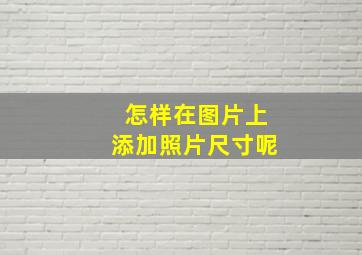 怎样在图片上添加照片尺寸呢