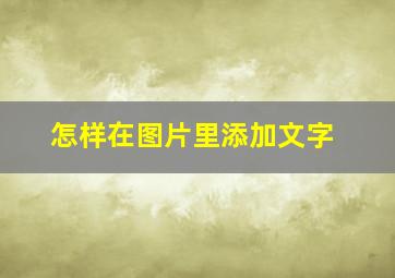 怎样在图片里添加文字