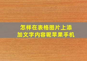 怎样在表格图片上添加文字内容呢苹果手机