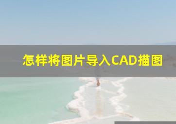 怎样将图片导入CAD描图