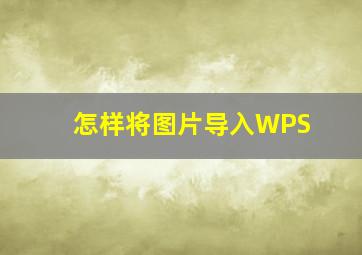 怎样将图片导入WPS