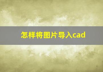 怎样将图片导入cad