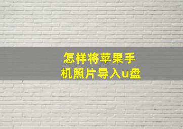 怎样将苹果手机照片导入u盘