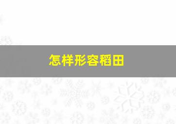 怎样形容稻田