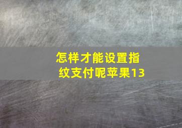 怎样才能设置指纹支付呢苹果13