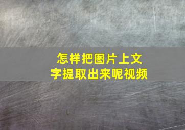 怎样把图片上文字提取出来呢视频