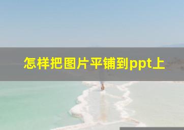 怎样把图片平铺到ppt上