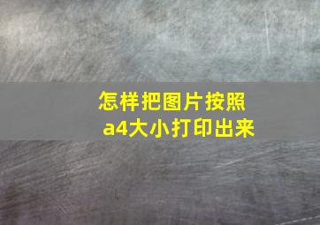 怎样把图片按照a4大小打印出来