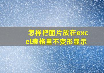 怎样把图片放在excel表格里不变形显示