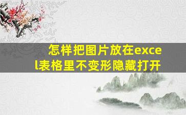 怎样把图片放在excel表格里不变形隐藏打开