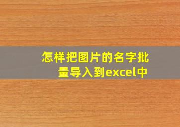 怎样把图片的名字批量导入到excel中