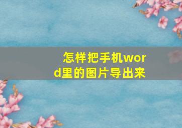 怎样把手机word里的图片导出来