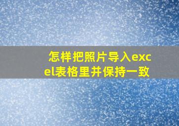 怎样把照片导入excel表格里并保持一致