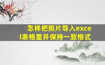 怎样把照片导入excel表格里并保持一致格式