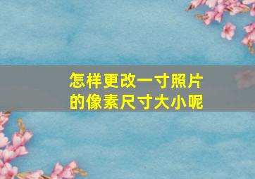 怎样更改一寸照片的像素尺寸大小呢