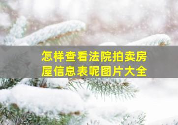 怎样查看法院拍卖房屋信息表呢图片大全