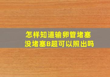 怎样知道输卵管堵塞没堵塞B超可以照出吗