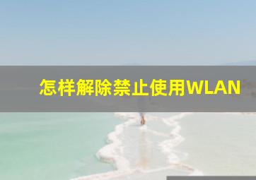 怎样解除禁止使用WLAN