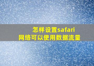 怎样设置safari网络可以使用数据流量