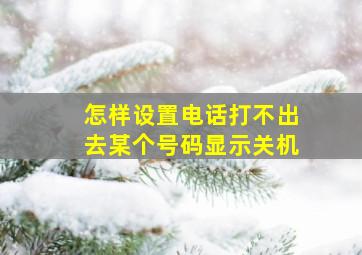 怎样设置电话打不出去某个号码显示关机