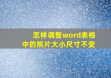 怎样调整word表格中的照片大小尺寸不变