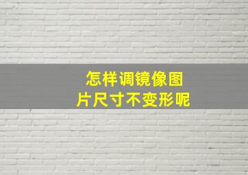 怎样调镜像图片尺寸不变形呢