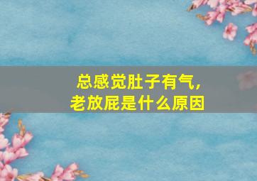 总感觉肚子有气,老放屁是什么原因