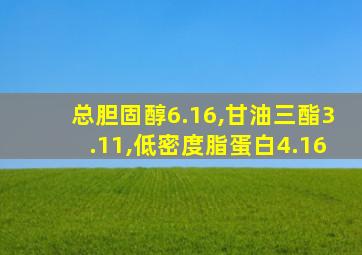 总胆固醇6.16,甘油三酯3.11,低密度脂蛋白4.16