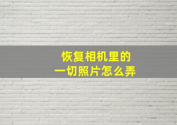 恢复相机里的一切照片怎么弄