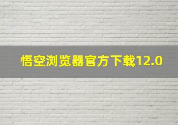 悟空浏览器官方下载12.0