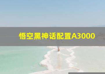 悟空黑神话配置A3000