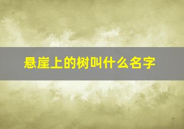 悬崖上的树叫什么名字