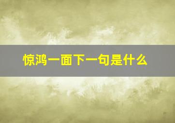 惊鸿一面下一句是什么