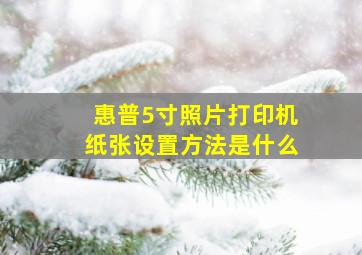 惠普5寸照片打印机纸张设置方法是什么