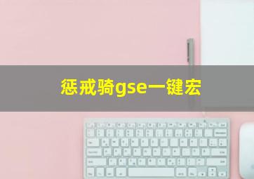 惩戒骑gse一键宏