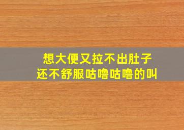 想大便又拉不出肚子还不舒服咕噜咕噜的叫