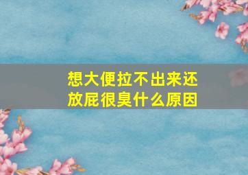 想大便拉不出来还放屁很臭什么原因