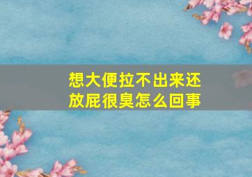 想大便拉不出来还放屁很臭怎么回事